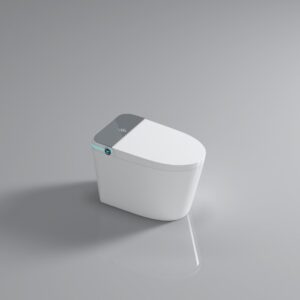 STP604 Smart Toilet