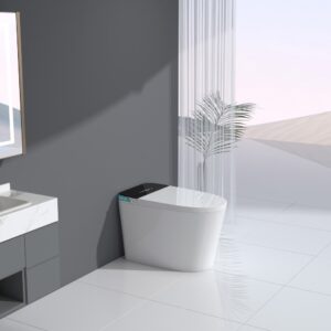 STP605 Smart Toilet