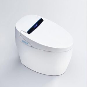 STP601 Smart Toilet
