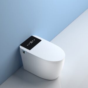 STP603 Smart Toilet